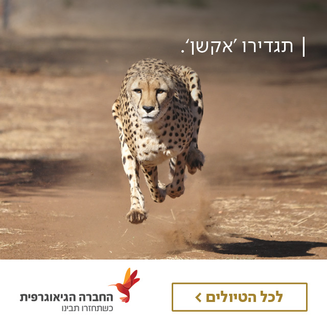החברההגיאוגרפית